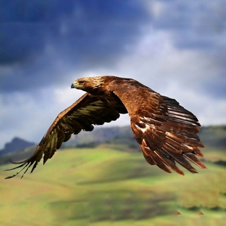 Логотип @buryat_again - Семейская горница