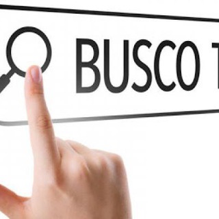 Логотип @buscotrabajosevilla - Busco Trabajo Sevilla