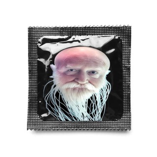 Логотип @bushighl - bushighl