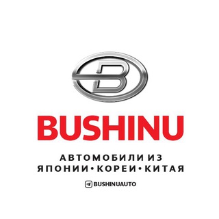 Логотип @bushinuauto - BUSHINUAUTO