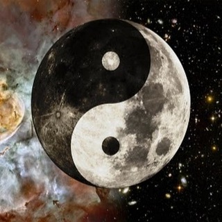 Логотип @bushwackeralerts - Bushwacker, канал для анонсов