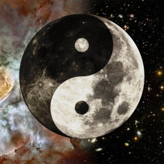 Логотип @bushwackerstreams - Bushwacker. Культурно-исторические развлекательные стримы.