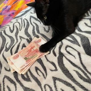 Логотип @business_nws - Инвестиции С Умом l Investor Alexander 💸