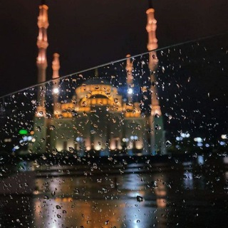 Логотип @busstan - 𝒔𝒖𝒏𝒏𝒆