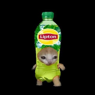 Логотип @bustleeeer - Суета♡