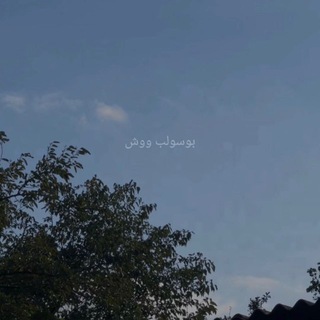 Логотип @busulb_wosh - 𝑩𝒖𝒔𝒖𝒍𝒃 𝑾𝒐𝒔𝒉 ✨