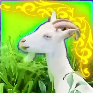 Логотип @butovo_kozly - Бутовские козлы