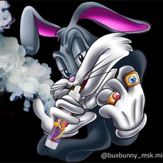 Логотип @buxbunny_msk_minsk - buxbunny_msk.minsk