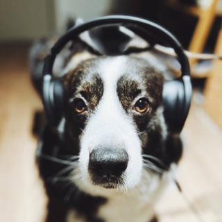 Логотип @buzzstation - БАЗовая станция