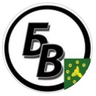 Логотип @bvestnik33 - Бикинский вестник