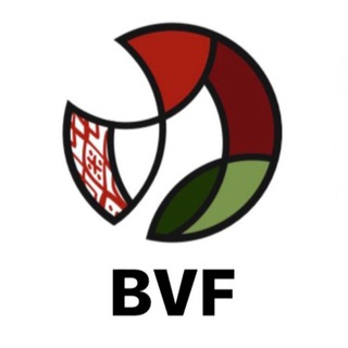 Логотип @bvf_by - Белорусская Федерация Волейбола 🏐