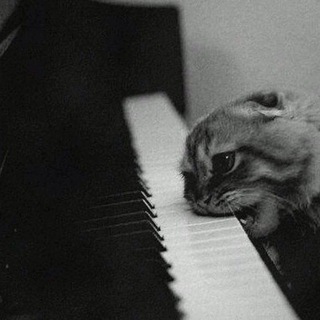 Логотип @bwv988 - DJ Goldberg