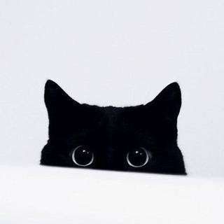 Логотип @by_cotique - ___〆(・∀・)