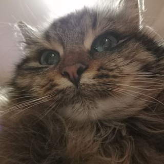 Логотип @by_kyle - Озвучка трансляций By Kyle