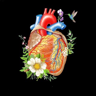 Логотип @bydoctors - ВРАЧИ БЕЛАРУСИ. Архив