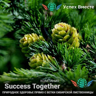 Логотип @bydzdorovi - 🧬Будет здоровье!🪄Будут и финансы 💰💲💵