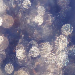 Логотип @byebyeflaw - Byebyeflaw