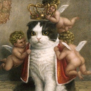 Логотип @byhanki - Одна тут БУХАНИРУЕШЬ?