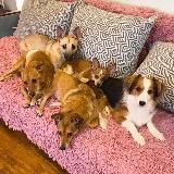 Логотип @bylochka_blog - Хлебобулочный канал