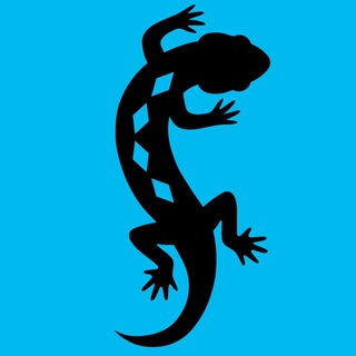 Логотип @bymia - Roasted by Mia 🔥