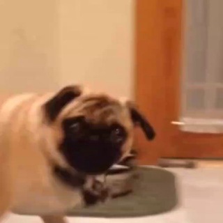 Логотип @c0baken - Цобакен