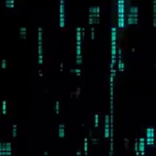 Логотип @c_worm_chat - Чат канала C_Worm