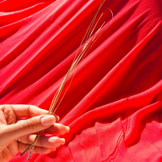 Логотип @ca1408 - Внутри Калифорнии