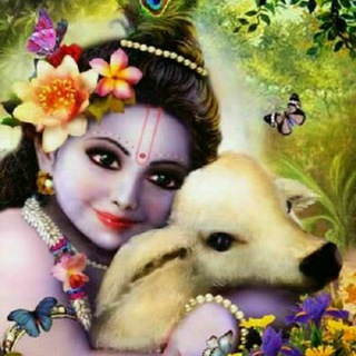 Логотип @caair1 - AIR1CA Discussion Group