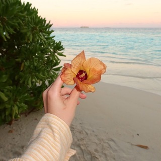 Логотип @caallmelove - to the moon and back