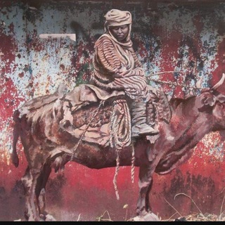 Логотип @caan1 - Central Asian Analytical Network