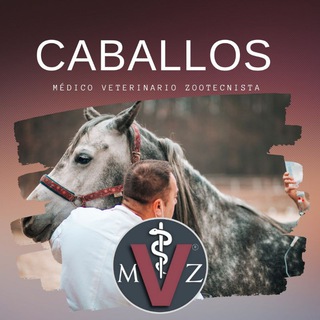 Логотип @caballos_mvz - TODO SOBRE CABALLOS 🐎