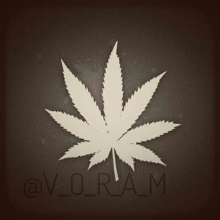 Логотип @cacain77 - Cacain