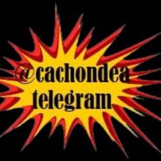 Логотип @cachondea - CANAL CACHONDEO VIDEOS DIARIOS DE HUMOR MEMES, MUCHA GUASA Y DIVERSIÓN. RISAS GARANTIZADAS 🤣🤣🤣