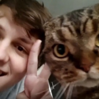 Логотип @cacto0o - Колючая хатка / Както