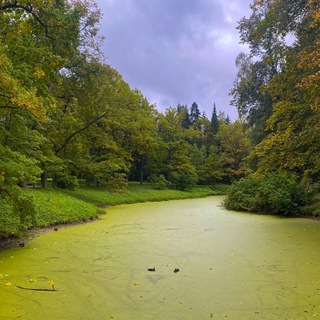Логотип @calendar_maya - Календарь Майя