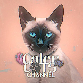 Логотип @caler_catss - 𝐜𝐚𝐥𝐞𝐫..𝐜𝐚𝐭𝐬