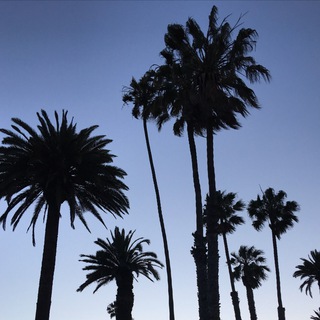 Логотип @californianborsch - Калифорнийский борщ - путешествия по миру