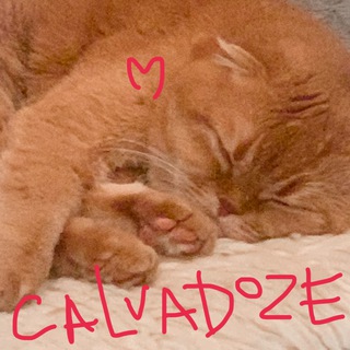 Логотип @calvadoze - Calvadoze🍷