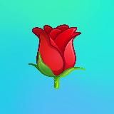 Логотип @camopoznanie - Изящная мысль