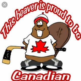 Логотип @canadian_beavers - Canadian beavers