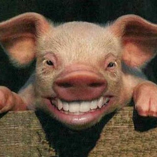 Логотип @canaldememesmalos - Canal de Memes Malos | Humor y Shitpost