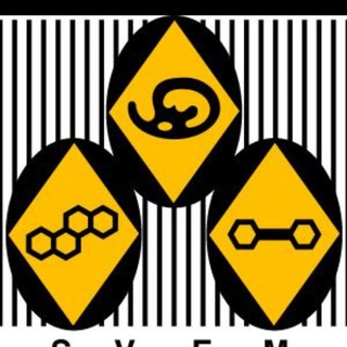 Логотип @canalsvem - SVEM