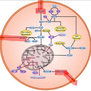 Логотип @cancervsbrenton2 - Cancer vs Brenton