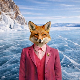 Логотип @candy_fox_irk - CANDY FOX | Куда сходить в Иркутске | Места | Обзоры