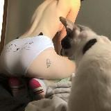 Логотип @candyditerskaya - кондитерська 🇺🇦