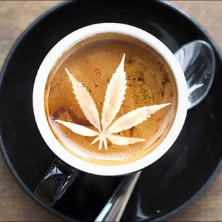 Логотип @cannadigest - Canna Digest