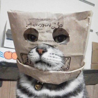 Логотип @cantistress - Cantistress