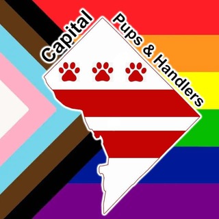 Логотип @capitalpah - Official Capital PAH SFW Chat