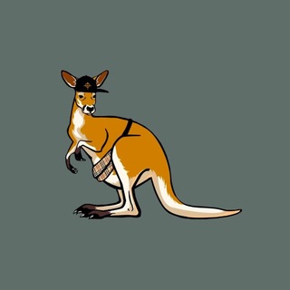 Логотип @capitan_kangaroo_shop - Capitan Kangaroo shop