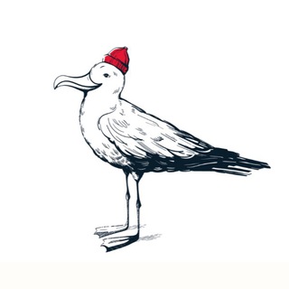 Логотип @captains_mate - Captainsmate